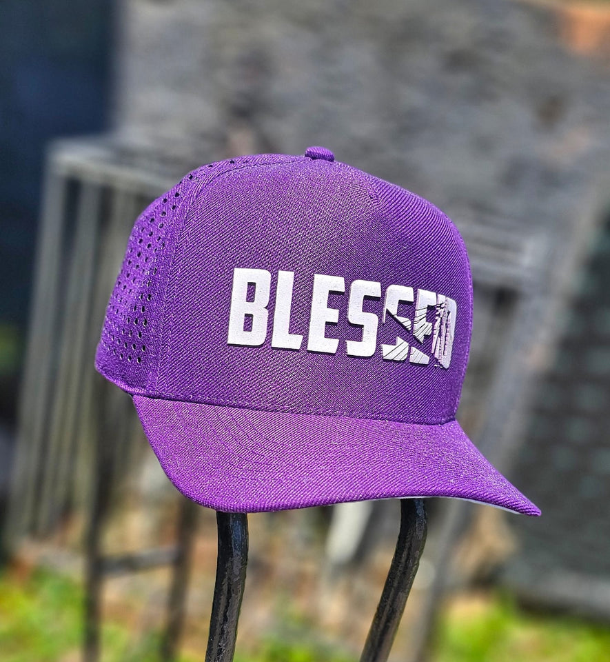 Boné Aba Curva BLESSED ROXO
