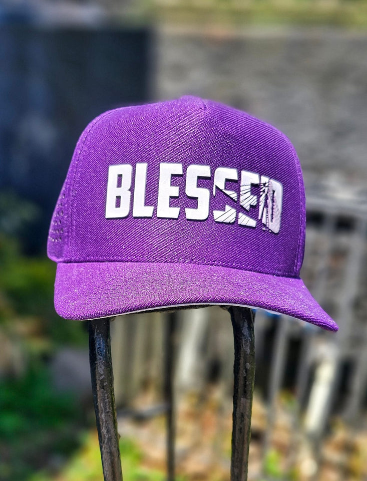Boné Aba Curva BLESSED ROXO