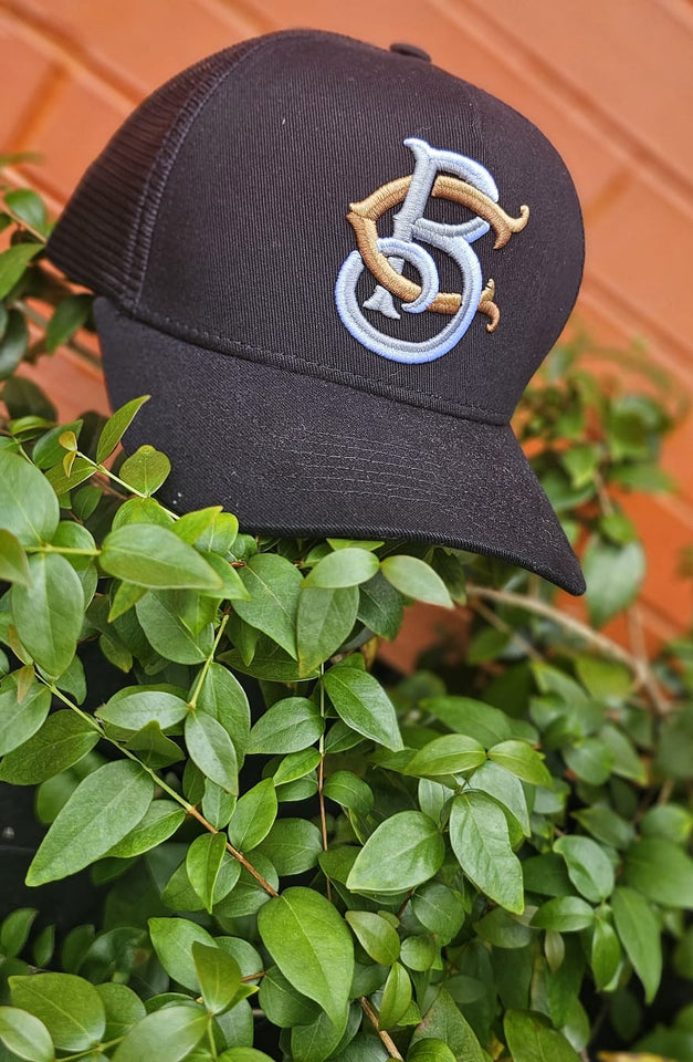 Boné Aba Curva Trucker