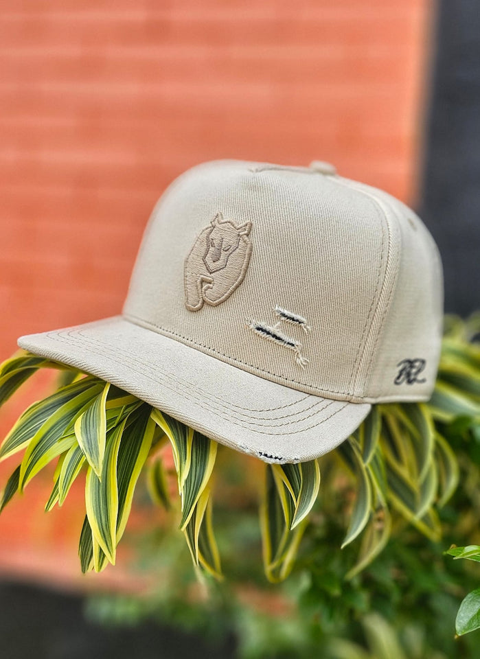 Boné Aba Curva BOLD Cream