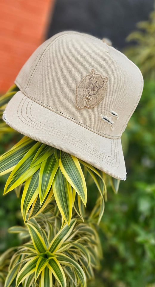 Boné Aba Curva BOLD Cream