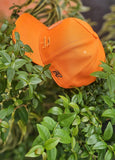 Boné Aba Curva BOLD Orange