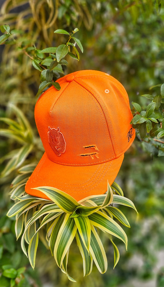 Boné Aba Curva BOLD Orange