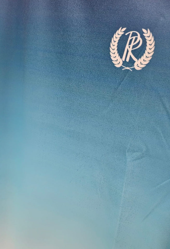 ✨️ T-shirt DEGRADÊ BLUE ✨️