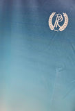✨️ T-shirt DEGRADÊ BLUE ✨️